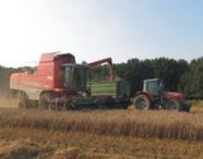 Anlage und Aufzucht